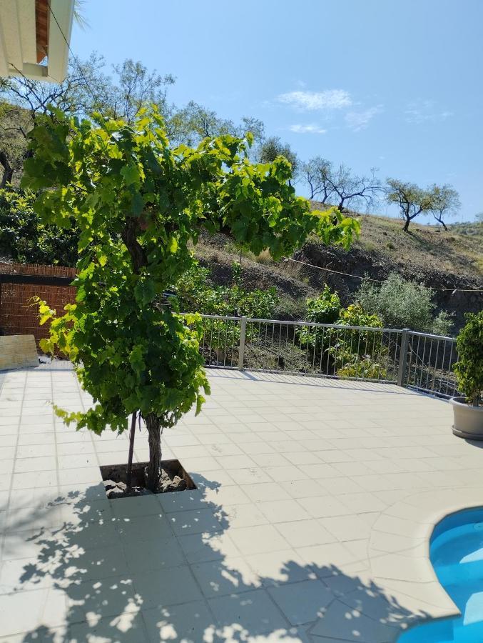 Villa Las Vinas 马拉加 外观 照片