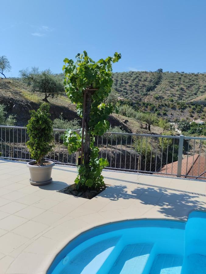 Villa Las Vinas 马拉加 外观 照片
